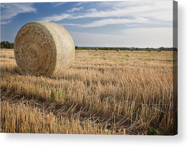 Summer Acrylic Print featuring the photograph Hay Field Summer by Paul Huchton