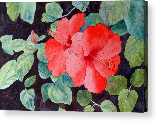 Hibiscus Acrylic Print featuring the painting Hibiscus by Laurel Best