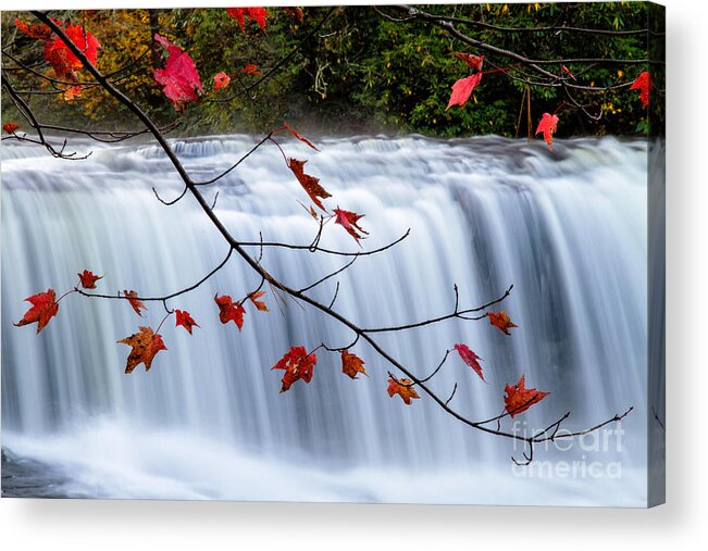 Fall Foliage At Hooker Falls Acrylic Print featuring the photograph Hooker Falls Blue Ridge Mountains North Carolina by Dawna Moore Photography