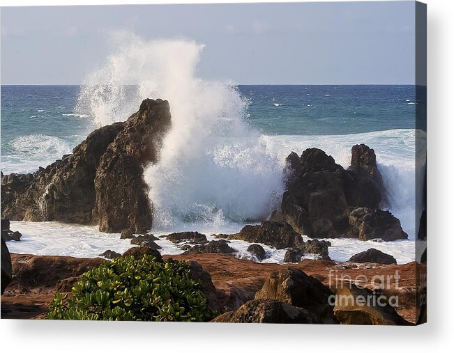 Wave Acrylic Print featuring the photograph Hookipa Beach Wave 1 by Teresa Zieba