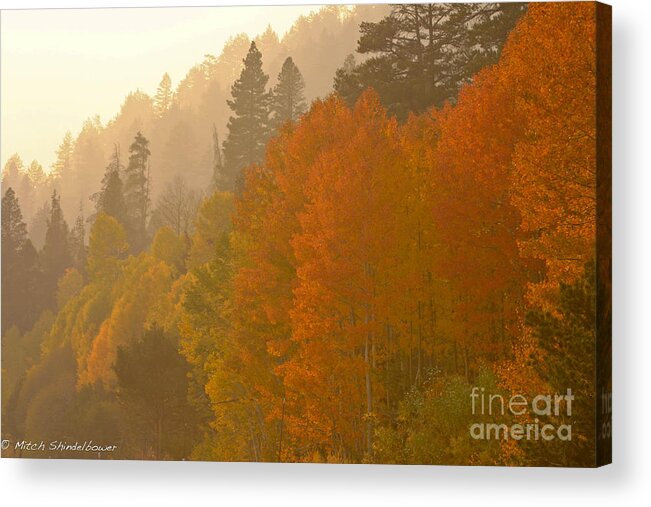 Hope Valley.fall Acrylic Print featuring the photograph Hope Valley by Mitch Shindelbower
