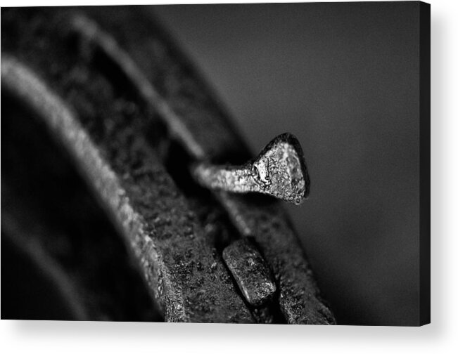 Horseshoe Acrylic Print featuring the photograph Horse shoe nail by Wilma Birdwell
