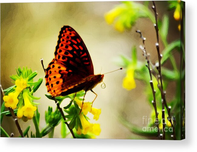 Impressionistic Acrylic Print featuring the photograph I See the Light by Vicki Pelham