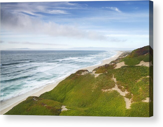 00465769 Acrylic Print featuring the photograph Ice Plant Covering Sand Dunes Sand City by Sebastian Kennerknecht