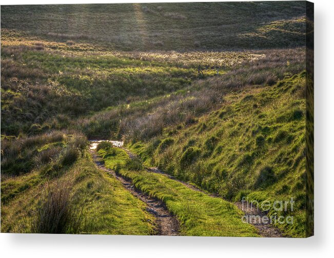 Clare Bambers Acrylic Print featuring the photograph Icy track by Clare Bambers