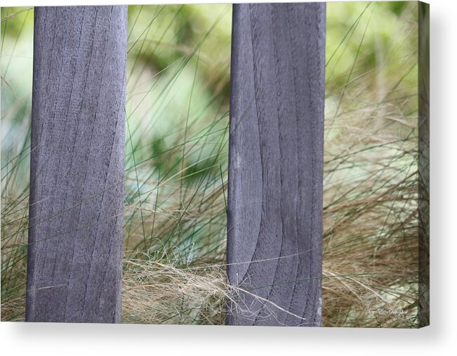 Tall Grass Acrylic Print featuring the photograph In The Meadows by Amy Gallagher