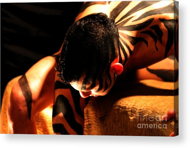 Zebra Acrylic Print featuring the photograph Incognito by Robert D McBain