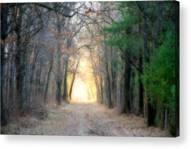 Woods Acrylic Print featuring the photograph Into The Woods by Mark J Seefeldt