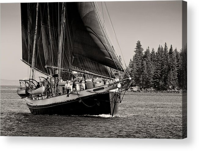  Acrylic Print featuring the photograph Ketck Angelique 2012 by Fred LeBlanc