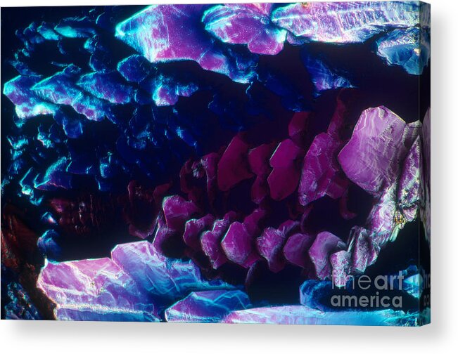 Polarized Light Micrograph Acrylic Print featuring the photograph L. Histidine Crystals by M. I. Walker