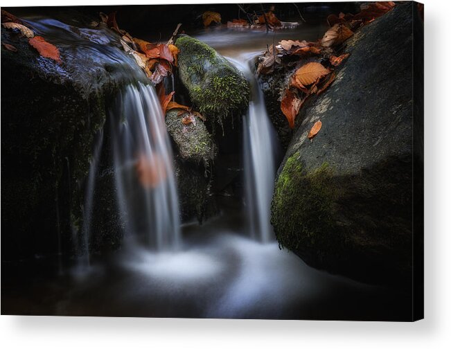 Autumn Acrylic Print featuring the photograph Leaves along small Stream 1 by Steve Hurt