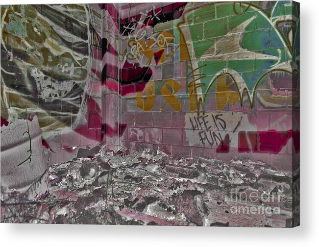 Abstract Acrylic Print featuring the photograph Life Is Fun by Scott Evers