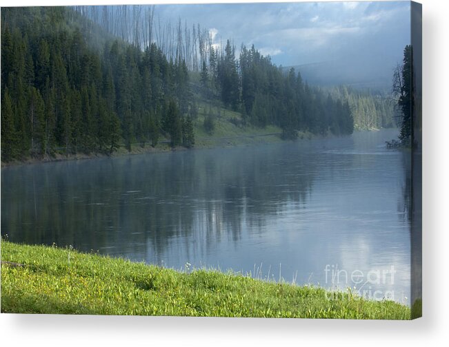 Bronstein Acrylic Print featuring the photograph Lifting Fog on the Yellowstone by Sandra Bronstein