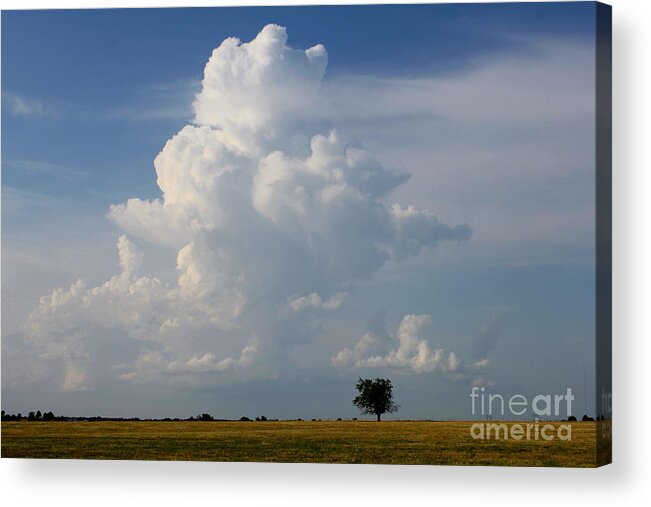 Storm Clouds Acrylic Print featuring the photograph Lone Tree by Sheri Simmons