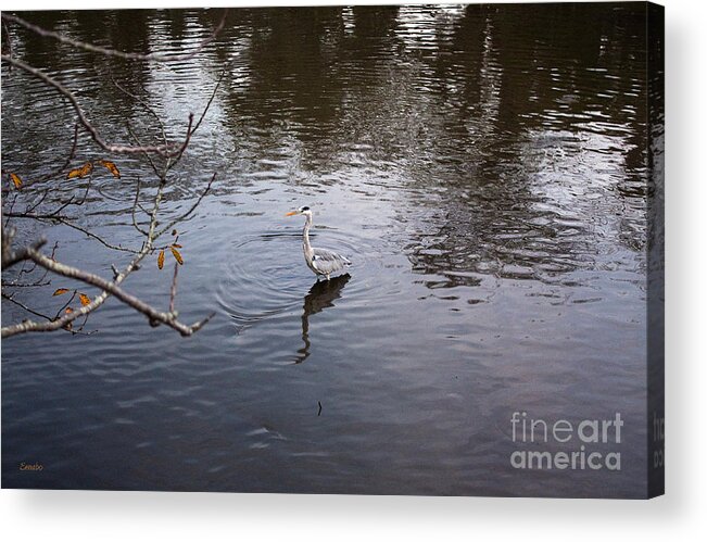 Fall Acrylic Print featuring the photograph Lonely Autumn by Eena Bo