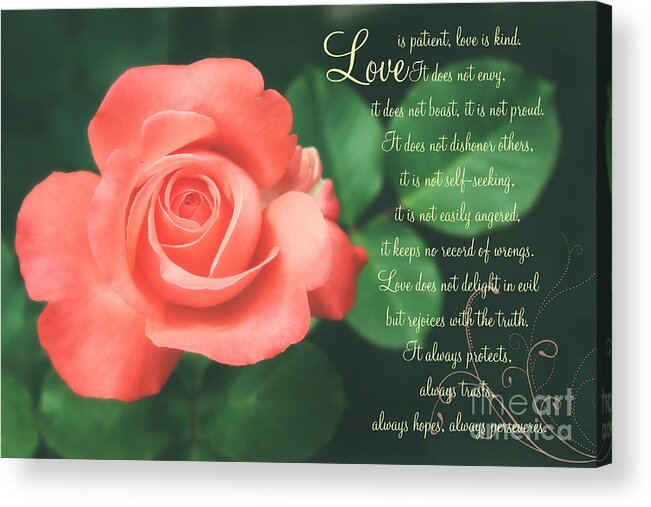 Love Acrylic Print featuring the photograph Love is by Lena Auxier