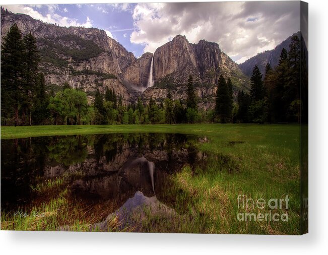 Cooks Meadow Acrylic Print featuring the photograph Majestic Reflections by Sue Karski