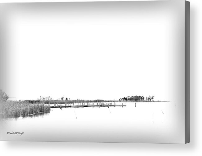 Nature Acrylic Print featuring the photograph Marsh by Paulette B Wright