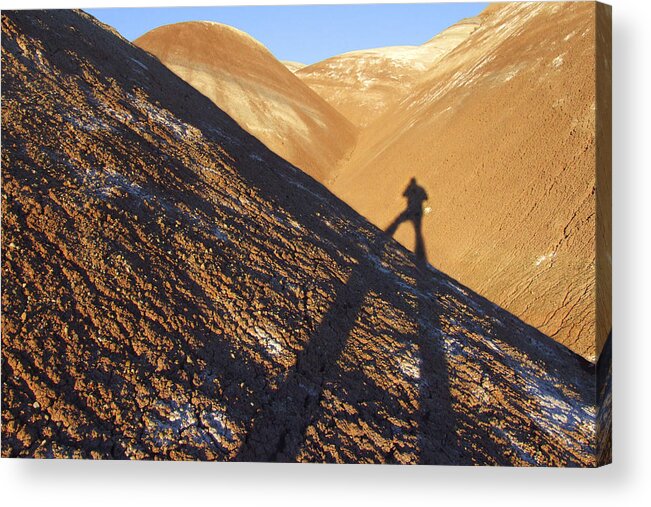 Shadow Acrylic Print featuring the photograph Me and My Shadow - Utah by Mike McGlothlen
