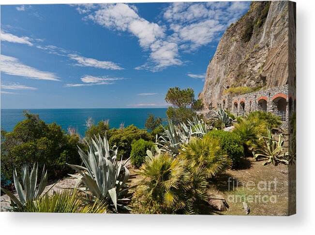 Italy Acrylic Print featuring the photograph Mediterranean Garden by Mike Reid