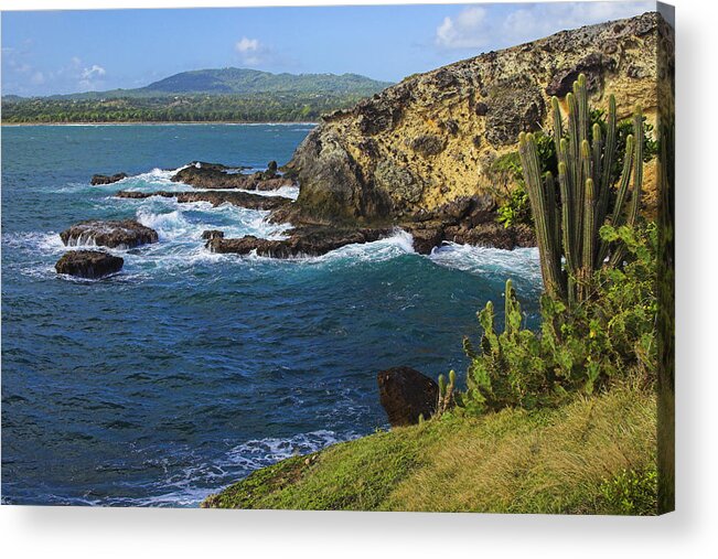 St Lucia Acrylic Print featuring the photograph Micoud Coastline- St Lucia by Chester Williams