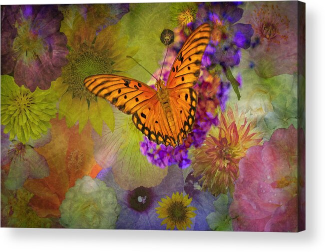 Butterfly Acrylic Print featuring the photograph Miracles Abound by Bonnie Barry