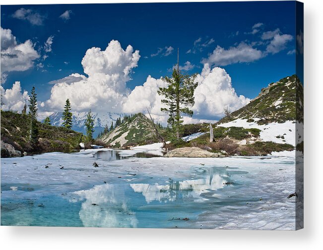 Cascades Acrylic Print featuring the photograph Mount Shasta from Hart Lake by Greg Nyquist