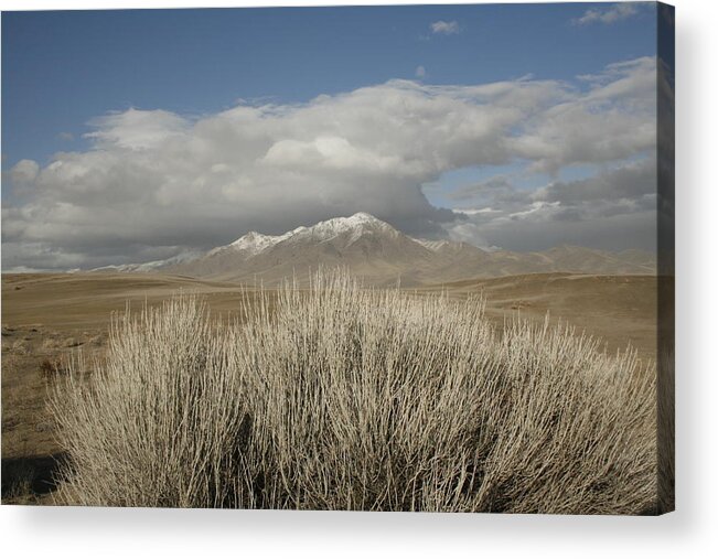 Nevada Acrylic Print featuring the photograph Mountain and Desert by Suzanne Lorenz