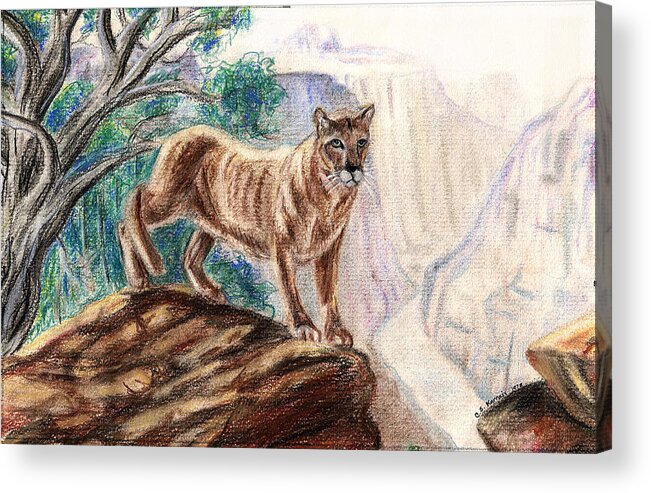 Mountain Lion Acrylic Print featuring the painting Mountain Lion by Clara Sue Beym