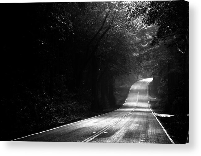 Forest Acrylic Print featuring the photograph Mountain Road II by Matt Hanson
