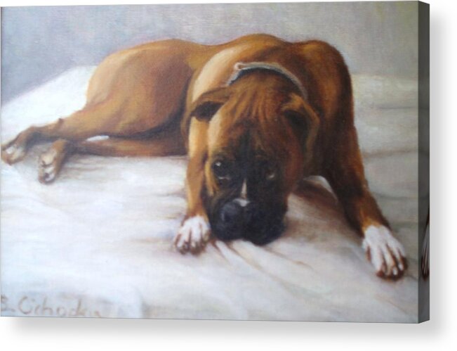 Figurative Acrylic Print featuring the painting My Dog Mr by Barbara Anna Cichocka