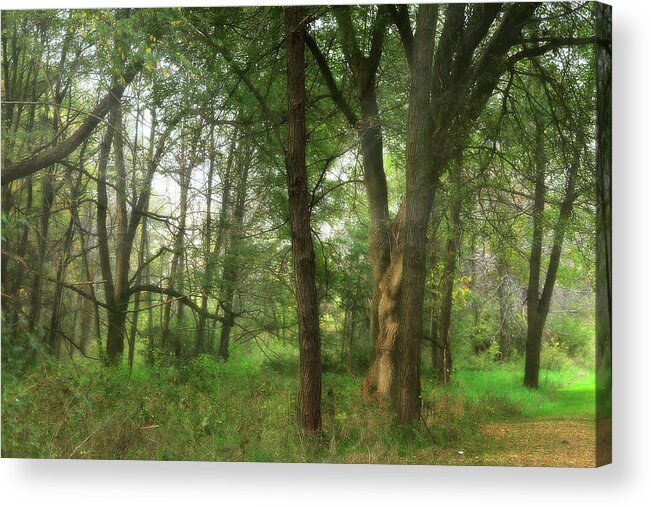 Hovind Acrylic Print featuring the photograph Mystic Forest by Scott Hovind