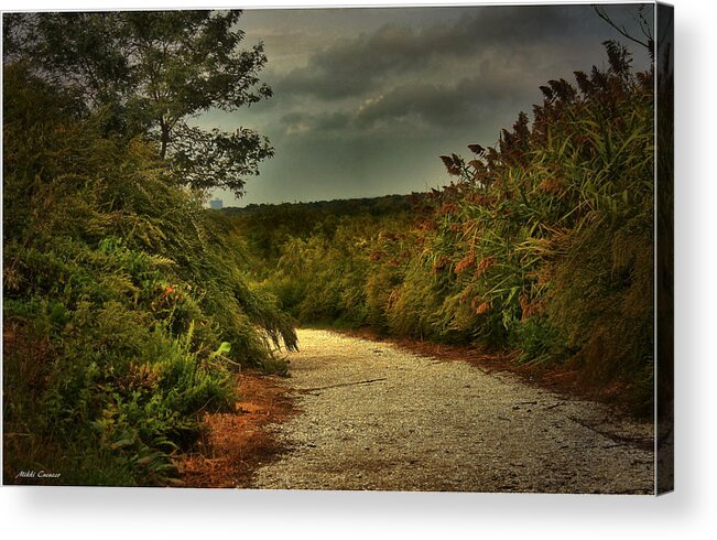 Autumn Acrylic Print featuring the photograph Nature Preserve by Mikki Cucuzzo