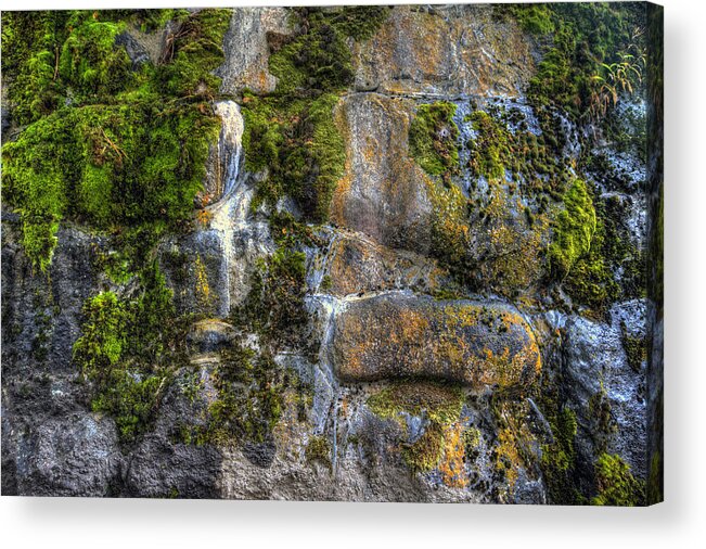 Hdr Acrylic Print featuring the photograph Nature's Abstract by Brad Granger