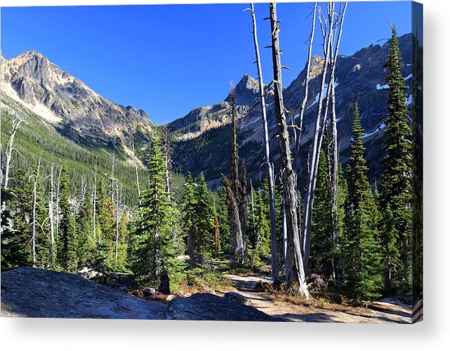 North Cascades National Park Acrylic Print featuring the photograph North Cascades Landscape by Pierre Leclerc Photography