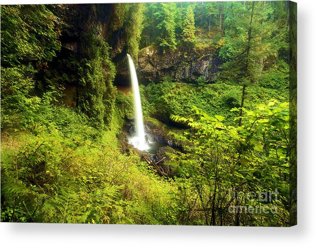 Silver Falls State Park Acrylic Print featuring the photograph North Falls by Adam Jewell