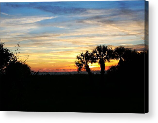 Florida Acrylic Print featuring the photograph Oh-A-Sis by Phil Cappiali Jr