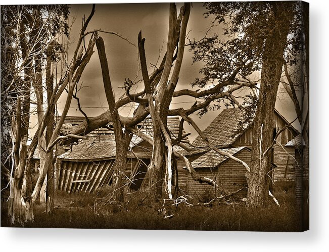 Old Acrylic Print featuring the photograph Old Homestead by Shane Bechler