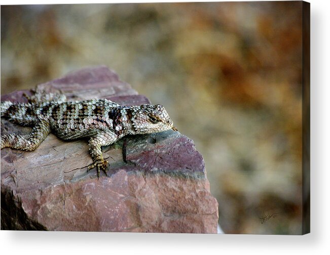 Photograph Acrylic Print featuring the photograph On the Edge by Vicki Pelham