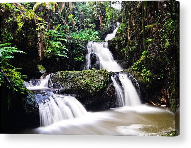 Big Island Acrylic Print featuring the photograph Onomea Falls by Jason Chu