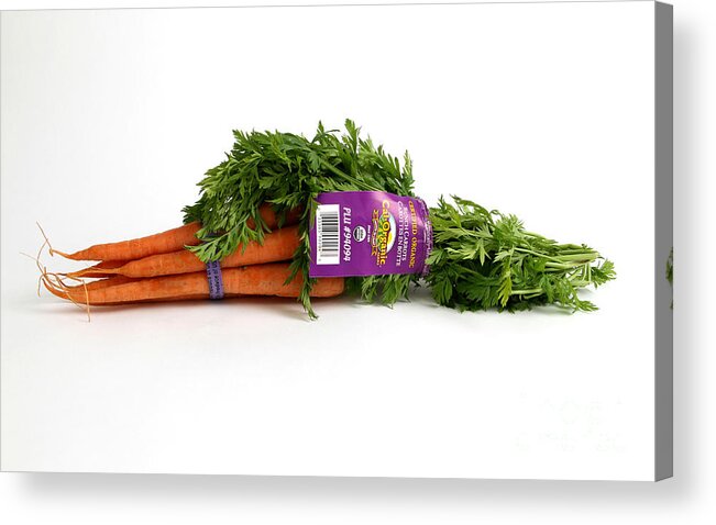 Still Life Acrylic Print featuring the photograph Organic Carrots by Photo Researchers