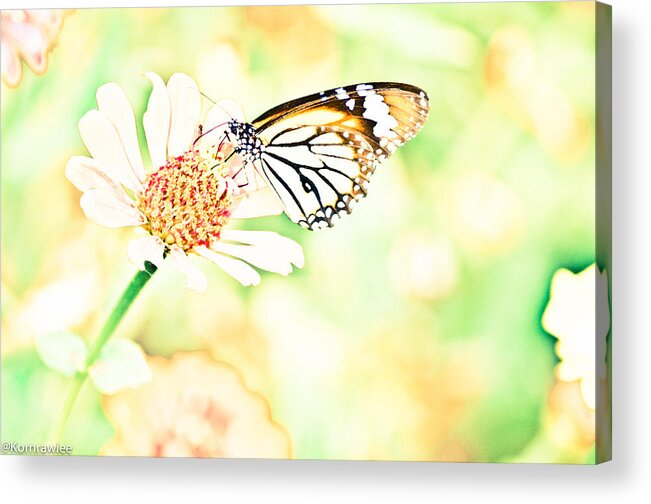 Flower Acrylic Print featuring the photograph Painted by a camera by Kornrawiee Miu Miu