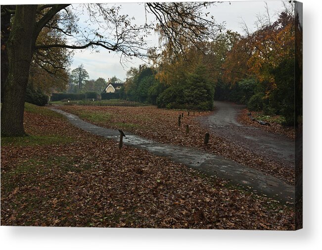 Richmond Park Acrylic Print featuring the photograph Park Cottage 2 by Maj Seda