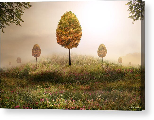 Landscape Acrylic Print featuring the photograph Perfection Is Standard Here by Gray Artus