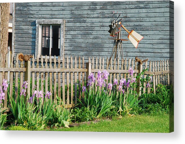 Jma Acrylic Print featuring the photograph Play Time by Janice Adomeit