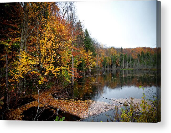 Adirondack's Acrylic Print featuring the photograph Pond on Limekiln Road II by David Patterson