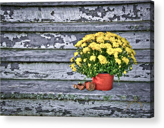 Flowers Acrylic Print featuring the photograph Pot of Gold by T Cairns