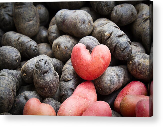 Red Potatoe Acrylic Print featuring the photograph Potatoe Hart by Dina Calvarese