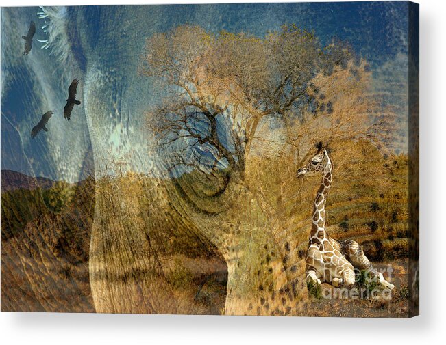 Photograph Acrylic Print featuring the photograph Preservation by Vicki Pelham