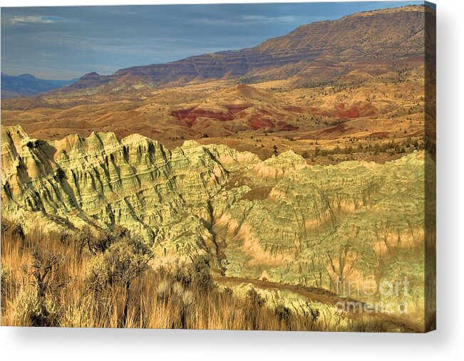 John Day Fossil Beds National Monument Acrylic Print featuring the photograph Rainbow Palate by Adam Jewell